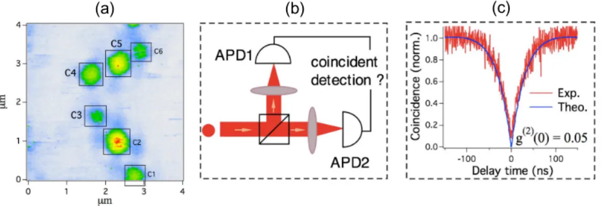 Figure 2. (a) Photoluminescence image of NV color centers in diamond nanocrystals.