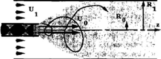 Fig.  1.  Hydrodynamical  structure  of the  swirling jet. 