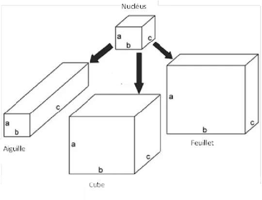 Figure A.17 : Habitus du cristal : la croissance inhibée dans quelques directions spatiales  donne des particules de différente morphologie 