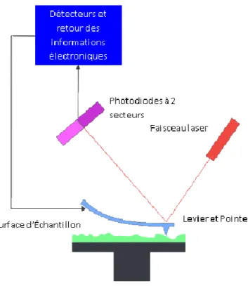 Figure A.20. Principe de fonctionnement de l’AFM 