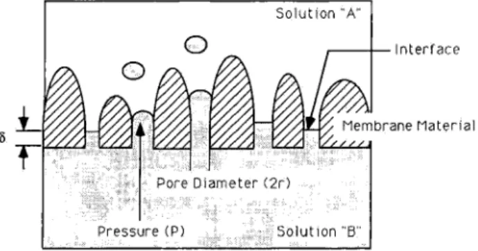 Figure  2  -  Description  of  permoporometry. 
