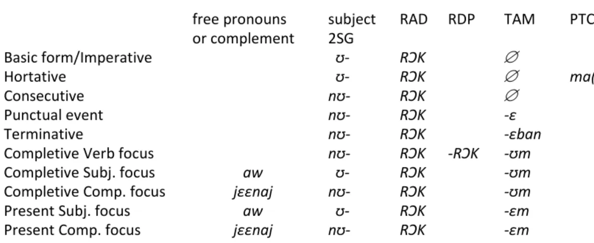 Table 12: the primary paradigms (example with the root rɔk ‘work, make’, 2SG, and jɛɛnaj ‘knife’) 