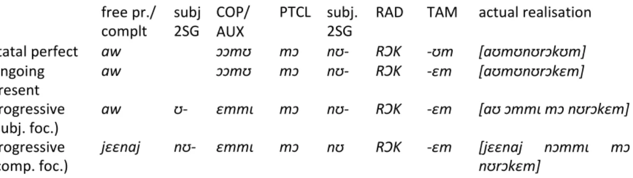 Table 14: the complex paradigms (1) with mɔ (example with the root rɔk ‘work, make’, 2SG nʊ- and jɛɛnaj ‘knife’) 