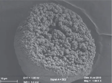 Fig. 4. SEM picture of a PVC particle.