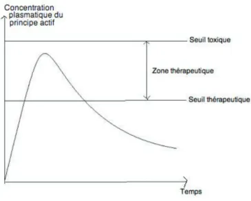 Figure 1 Schéma de la zone thérapeutique 