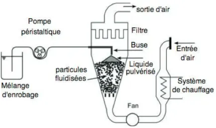 Figure  5 : Représentation schématique d'un enrobage par pulvérisation sur lit d’air  fluidisé [70] [71]