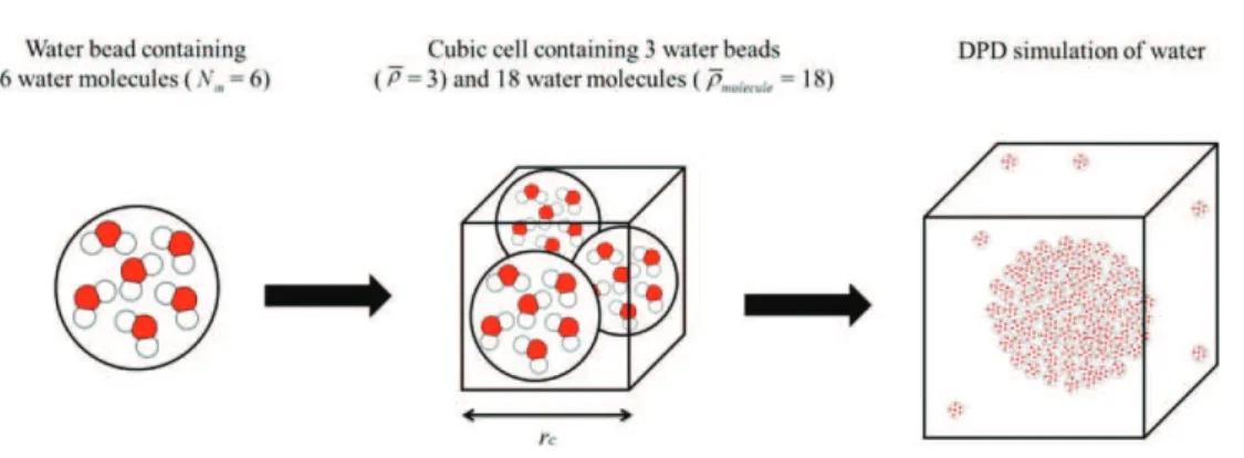 Fig. 2. Schematic representation of the coarse-graining of a water molecule. In this case, ρ ¼ 3 and N m = 6, the cut-off distance r c is therefore equal to the length of one side of the cubic cell.