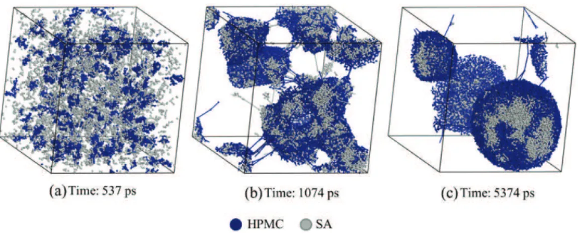 Fig. 4. DPD simulation of HPMC (Hydroxypropyl-methylcellulose, blue, 10%)-SA (Stearic acid, grey, 10%) mixture in water (transparent, 80%).