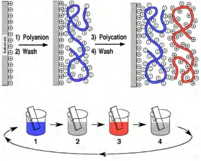 Figure 13 : Schéma représentant la construction d’un film multicouche de polyélectrolytes (158)
