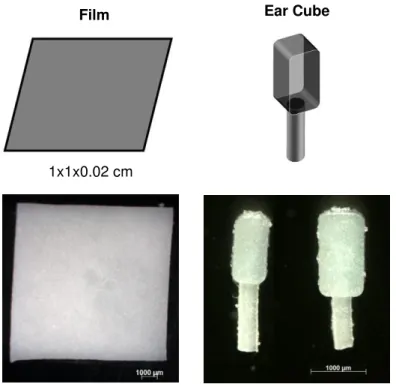 Figure 2.2.  Schematic  presentations  and  macroscopic  pictures  of  the  investigated  silicone  matrices loaded with dexamethasone: Thin films and Ear Cubes