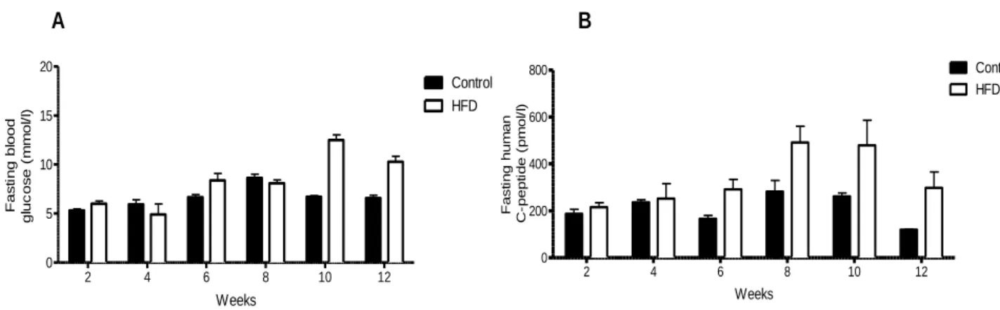 Fig  15:  Fasting  blood  glucose  and  human  C-peptide  for  mice  grafted  with  normal  islets  (Kinetic study)