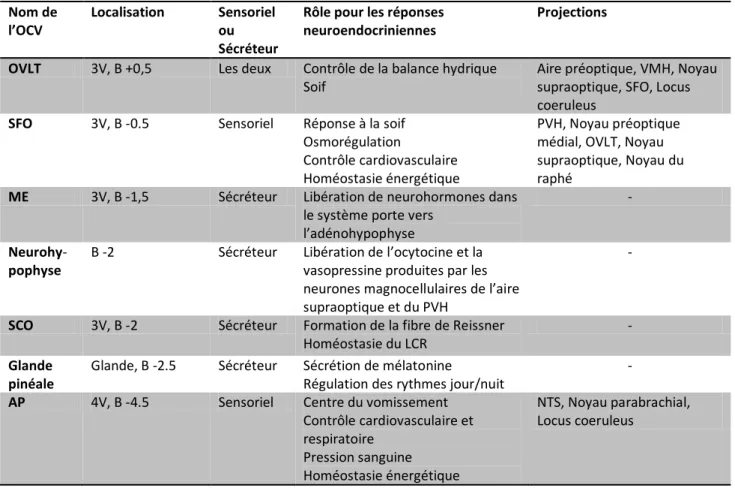 Tableau 2 : Localisation, fonctions et projections des différents organes circumventriculaires