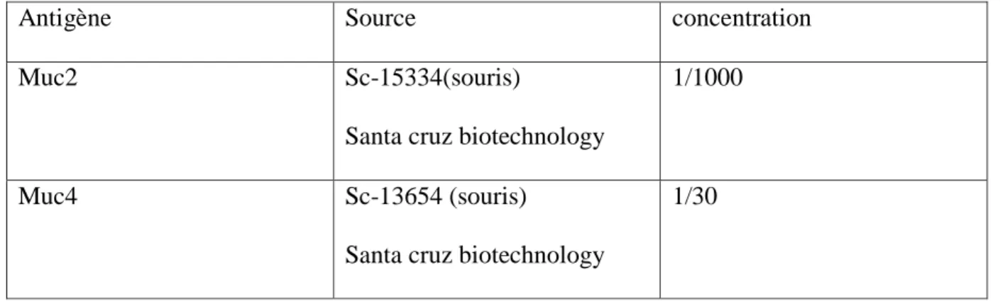 Tableau II: Liste des anticorps utilisés en immunohistochimie automatique chez le rat 