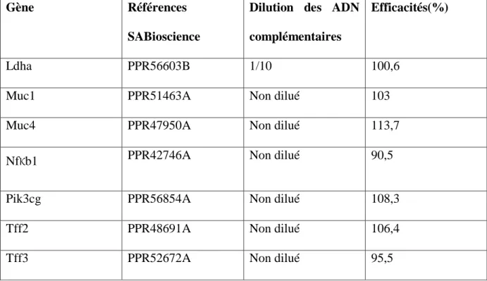 Tableau V : Références des amorces pour la qRT-PCR chez le rat. 