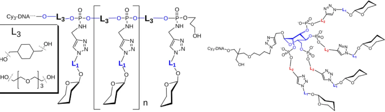 Figure 3: General structures of glycoclusters, based on a) H-phosphonate chemistry and b)  phosphoramidite chemistry