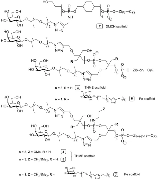 Figure 5: General structure of tetrameric galactose clusters.  