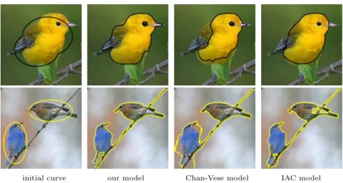 Fig. 5. Real color images. Final curves of our model, vector-valued Chan-Vese model [10], and integrated active contour model (IAC).