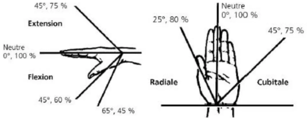 Figure 10: Diminution de la force résultant en fonction des différentes postures du poignet   (Putz-Anderson 1988) 