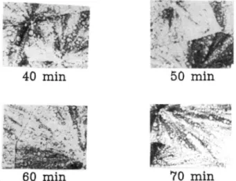 Figure 4. SEM photomicrograph of the freeze-fractured sur- sur-face of the compression-molded sample of the 80% PP/20%
