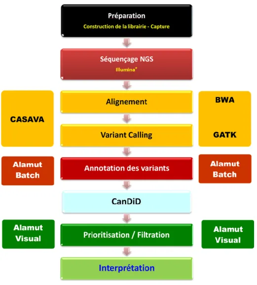 Figure 4B. Pipeline bio-informatique d’analyse NGS implémenté au niveau de la plateforme Génomique du  CHU de Rouen