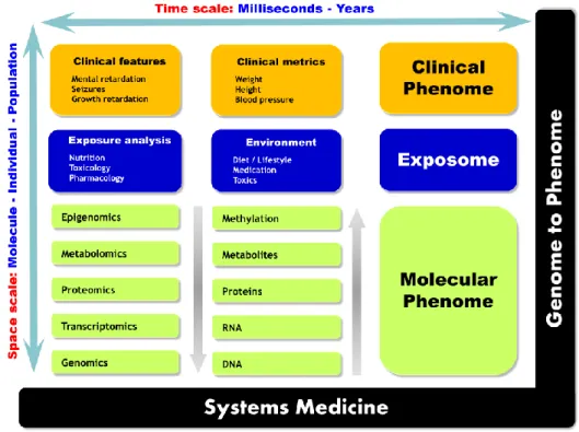 Figure 1. Multi-scale biology overview of systems medicine. Three main drivers define phenotype: 