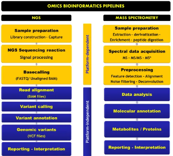 Figure 2. Schematic illustration of bioinformatics pipelines in next-generation sequencing (NGS) and  mass  spectrometry  (MS)-based  omics