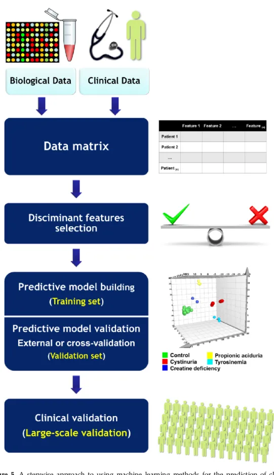 Figure  5.  A  stepwise  approach  to  using  machine  learning  methods  for  the  prediction  of  clinical  phenotypes