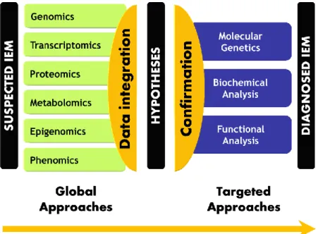 Figure  6.  Paradigm  shift  in  Inborn  Errors  of  Metabolism  (IEM)  diagnosis  workflow