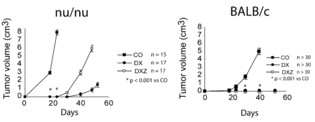 Fig  7.  Comparaison  des  effets  des  anthracyclines  sur  l’évolution  tumorale  dans  des  souris  immunodéficientes  et  immuocompétentes