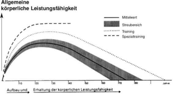 Abbildung 2. Leistungsentwicklung über die Lebensspanne nach Bös (2004, S.353). 