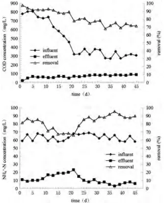 Fig. 2. Evolutions of COD and ammonia nitrogen removals during sludge acclimatization in MBR.
