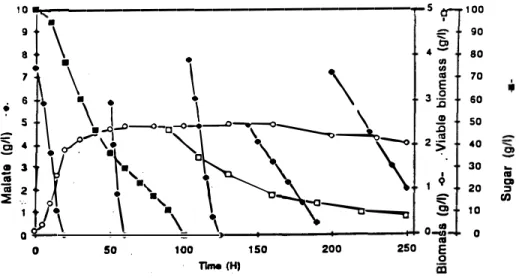 Figure 3:  Malic acid degradation during the stationary phase before and after sugar  exhaustbn 