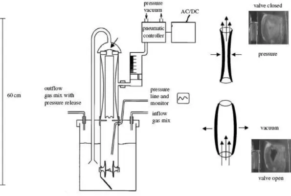 Figure 4 : représentation schématique d’un bioréacteur pulsatile 
