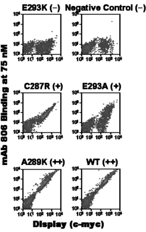 Figure 2-4: Flow cytometry data for representative EGFR mutants and their binding scores to 75 nM mAb 806