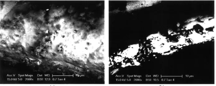 Figure  3.2.  ESEM  image  quality  at beginning  of scanning,  (a)  versus  image quality  approximately  3  hours  after scan,  (b).