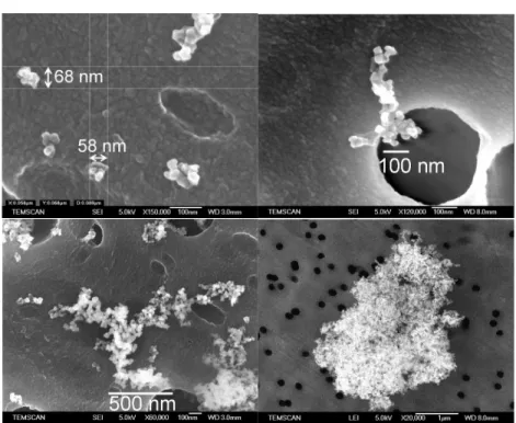 Figure 8. SiO 2  aggregates collected on the ELPI stages and observed by SEM. 