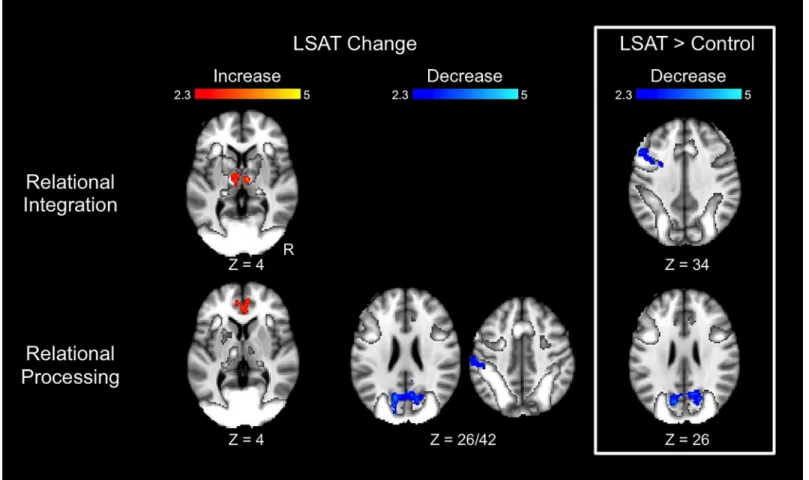 Fig 4. Changes in Transitive Inference task activation. Results are overlaid on the task activation observed across time points and across groups.