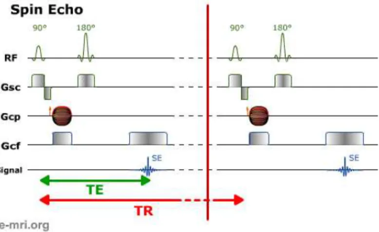 Fig. 2.13. Illustration sch´ ematique du principe d’acquisition avec une s´ equence d’´ echo de spin (source : http ://www.e-mri.org/).