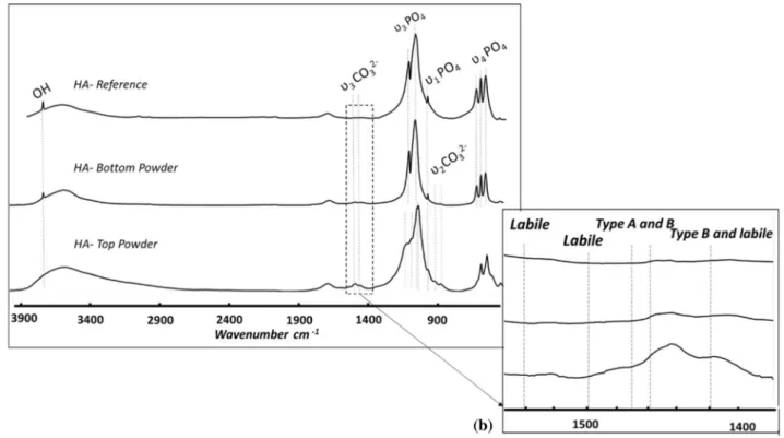 Figure 4 FTIR spectra of HA reference powder, Bottom Powder, Top Powder, a 4000–400 cm -1 domain and b 1580–1380 cm -1 domain.