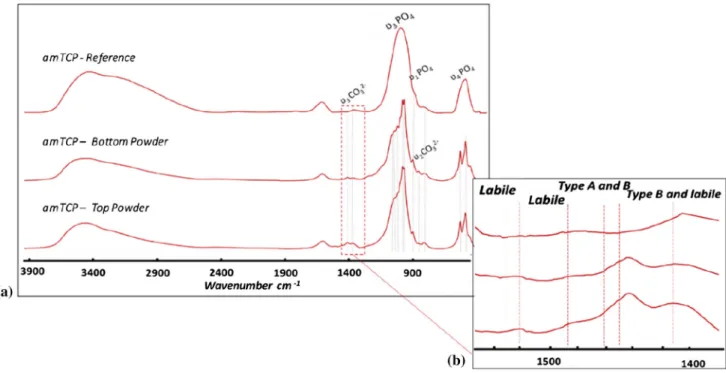 Figure 6 FTIR spectra: HA/amTCP reference powder, Bottom Powder, Top Powder: a 3900–400 cm -1 domain, b 1580–1380 cm -1 domain and c example of band decomposition in the 700–450 cm -1 domain.