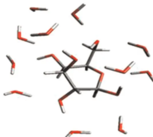 Fig. 6. Equilibrium arrangements of 2 functionalized monomers neutralized by 1 Ca 2þ around the hydrated glucose.