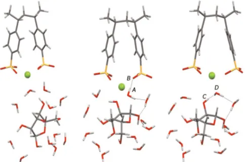 Fig. 8. Optimized geometry of macromolecular model formed by two polymer fragments equilibrated by Na þ .