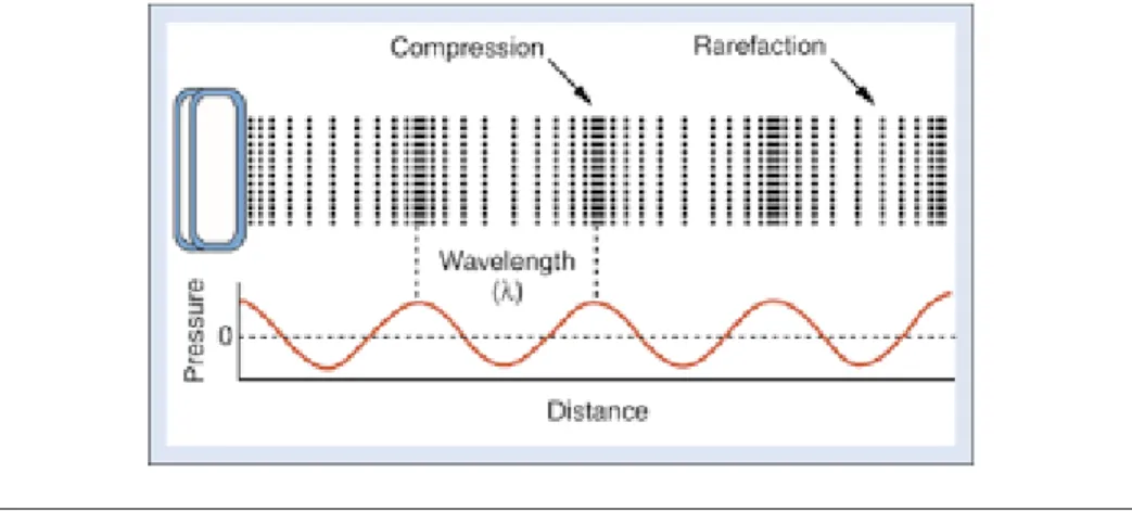 Figure 3.2: Longitudinal wave at a given time. As the wave propagates, particles oscillate between a compression or rarefaction state [8].