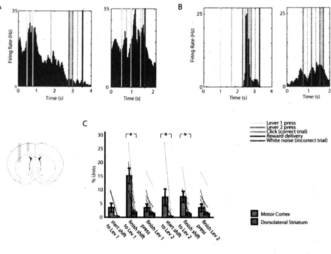 Figure  2.  Motor-type  neurons  are  prevalent  in  forelimb  motor  cortex  but  not  dorsolateral striatum.