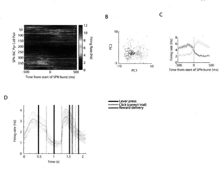 Figure  9.  Equal  sized  groups of DLS  SPNs  with opposing  relationships  with  motor fire concurrently at task-boundaries.