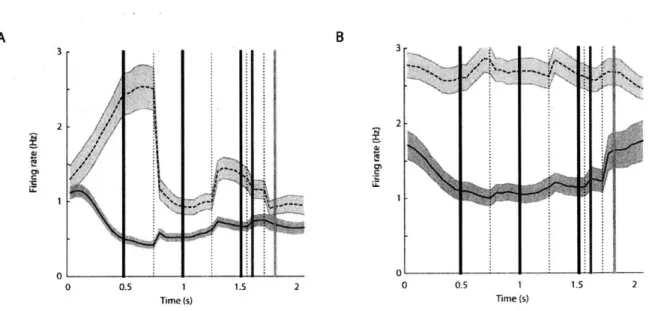 Figure 10.  Dorsomedial  striatum  and prelimbic cortex are  weakly activated  during learned  lever sequence  performance  as  compared  to dorsolateral striatum  and  motor cortex.