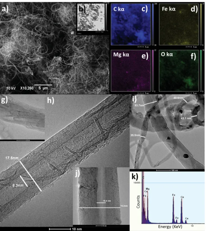 Fig. 8. a) NTC4 SEM micrograph showing the entangled nanotubes, b) SEM of the area analyzed by EDS; EDS mapping of c) carbon d) iron e) magnesium and f) oxygen; NTC4 HRTEM presenting g) MWCNT growing agglomerated to the same direction; h) Single MWCNT with