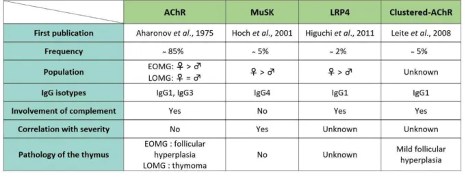Table 1: Antibody-specific characteristics of each type of MG 