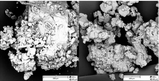 Fig . 1.  SEM  images of the vanadyl sulfate V0S0 4 -5H:i() commercial powder; 15 kV-Point; 8SO full