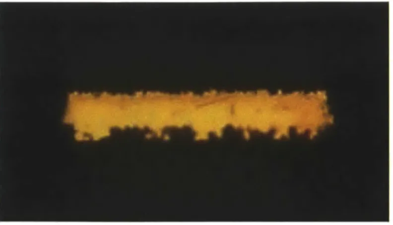 Figure  1-1:  Typical  inner  layer  trace  with  surface  roughness  16]